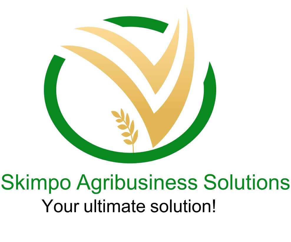 Skimpo 600 Logo croped